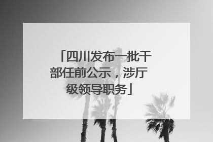 四川发布一批干部任前公示，涉厅级领导职务