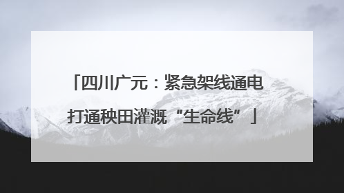 四川广元：紧急架线通电 打通秧田灌溉“生命线”