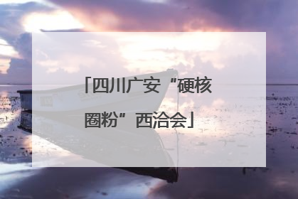 四川广安“硬核圈粉”西洽会
