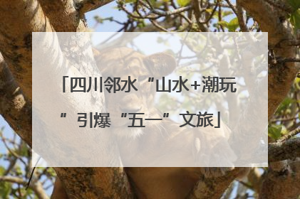 四川邻水“山水+潮玩”引爆“五一”文旅