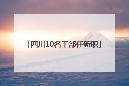 四川10名干部任新职