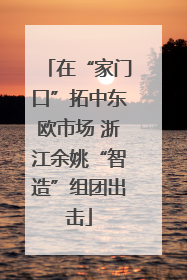 在“家门口”拓中东欧市场 浙江余姚“智造”组团出击