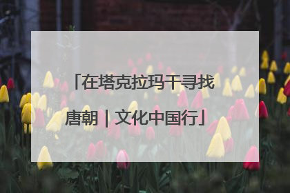 在塔克拉玛干寻找唐朝｜文化中国行
