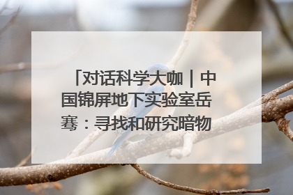 对话科学大咖｜中国锦屏地下实验室岳骞：寻找和研究暗物质，就是要去突破人类的认知边界