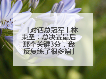 对话总冠军丨林秉圣:总决赛最后那个关键3分,我反复练了很多遍
