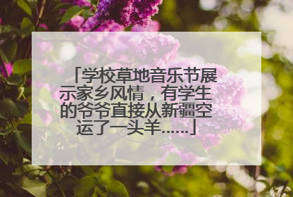 学校草地音乐节展示家乡风情，有学生的爷爷直接从新疆空运了一头羊……