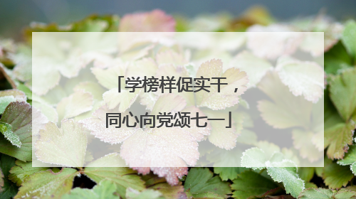 学榜样促实干，同心向党颂七一