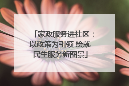 家政服务进社区：以政策为引领 绘就民生服务新图景