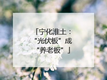 宁化淮土：“光伏板”成“养老板”