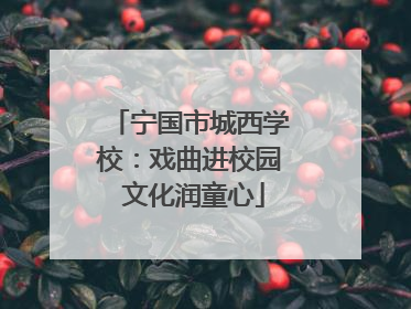 宁国市城西学校：戏曲进校园 文化润童心