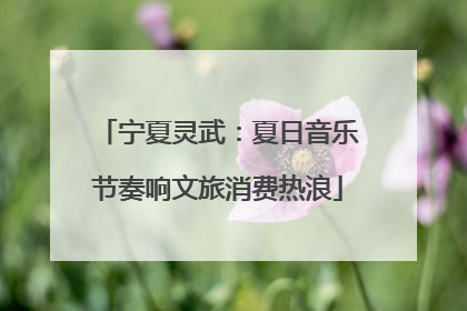 宁夏灵武：夏日音乐节奏响文旅消费热浪