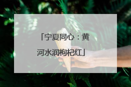 宁夏同心：黄河水润枸杞红