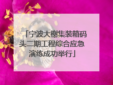 宁波大榭集装箱码头二期工程综合应急演练成功举行