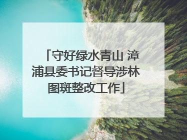 守好绿水青山 漳浦县委书记督导涉林图斑整改工作