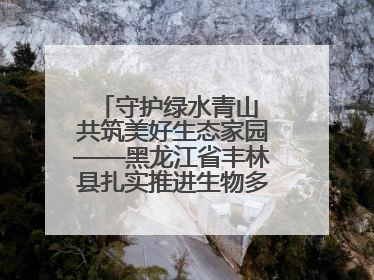 守护绿水青山 共筑美好生态家园——黑龙江省丰林县扎实推进生物多样性保护工作