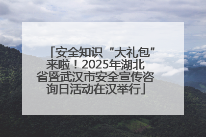 安全知识“大礼包”来啦！2025年湖北省暨武汉市安全宣传咨询日活动在汉举行
