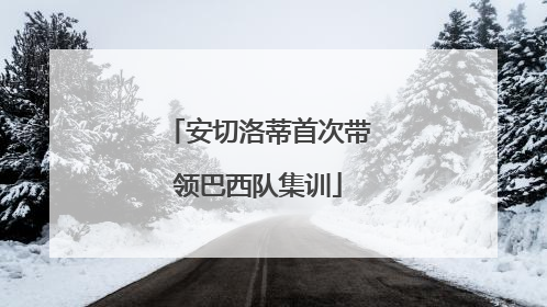 安切洛蒂首次带领巴西队集训