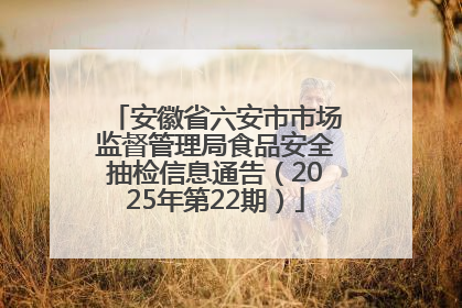 安徽省六安市市场监督管理局食品安全抽检信息通告（2025年第22期）