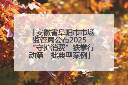 安徽省阜阳市市场监管局公布2025“守护消费”铁拳行动第一批典型案例