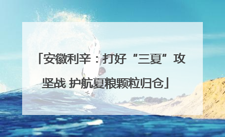 安徽利辛：打好“三夏”攻坚战 护航夏粮颗粒归仓