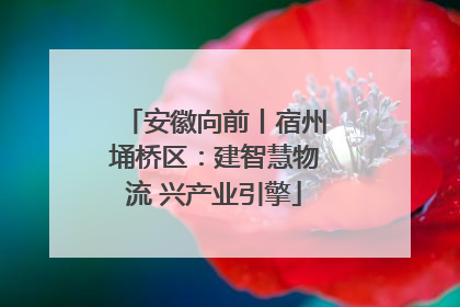 安徽向前丨宿州埇桥区：建智慧物流 兴产业引擎