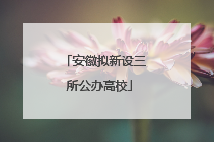安徽拟新设三所公办高校