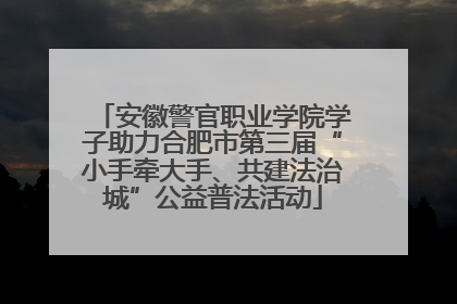 安徽警官职业学院学子助力合肥市第三届“小手牵大手、共建法治城”公益普法活动