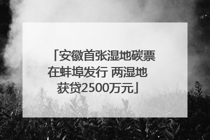 安徽首张湿地碳票在蚌埠发行 两湿地获贷2500万元