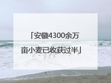 安徽4300余万亩小麦已收获过半