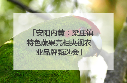 安阳内黄：梁庄镇特色蔬果亮相央视农业品牌甄选会
