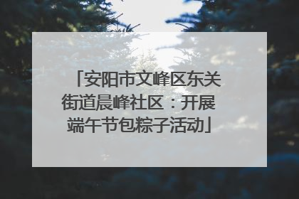 安阳市文峰区东关街道晨峰社区：开展端午节包粽子活动