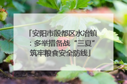 安阳市殷都区水冶镇：多举措备战“三夏” 筑牢粮食安全防线