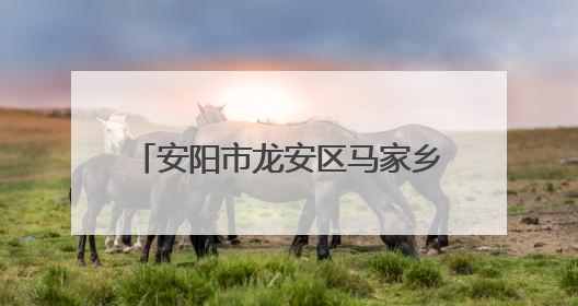 安阳市龙安区马家乡：凝聚社会合力 织密防汛“安全网”