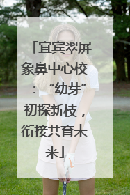 宜宾翠屏象鼻中心校：“幼芽”初探新枝，衔接共育未来