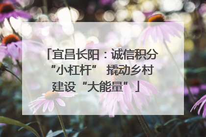 宜昌长阳：诚信积分“小杠杆” 撬动乡村建设“大能量”
