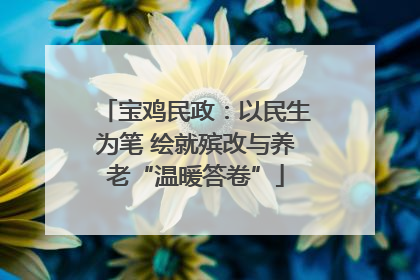 宝鸡民政：以民生为笔 绘就殡改与养老“温暖答卷”