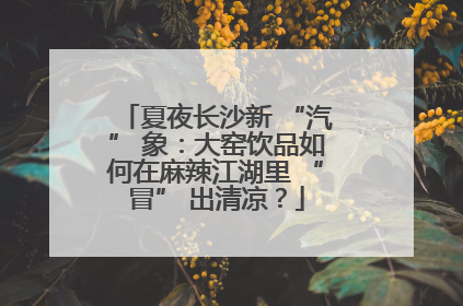 夏夜长沙新 “汽” 象：大窑饮品如何在麻辣江湖里 “冒” 出清凉？