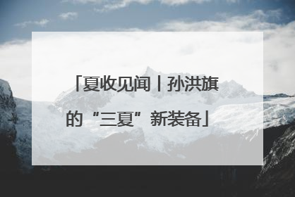 夏收见闻丨孙洪旗的“三夏”新装备