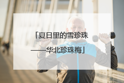 夏日里的雪珍珠——华北珍珠梅