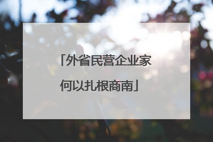 外省民营企业家何以扎根商南