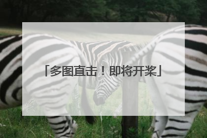 多图直击！即将开桨