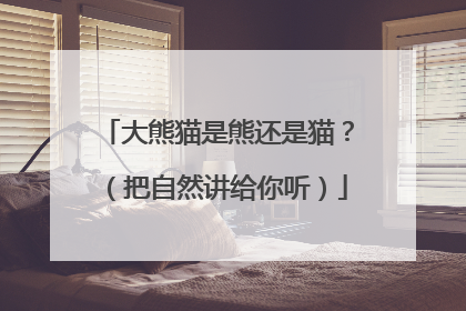 大熊猫是熊还是猫？（把自然讲给你听）