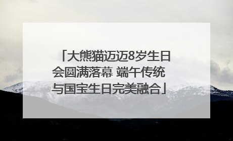 大熊猫迈迈8岁生日会圆满落幕 端午传统与国宝生日完美融合