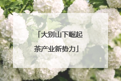 大别山下崛起茶产业新势力