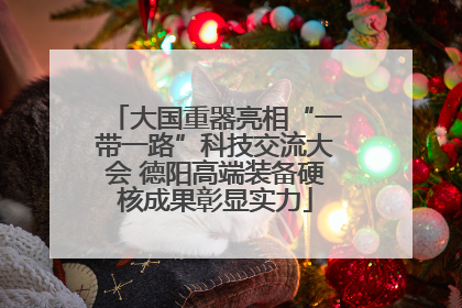 大国重器亮相“一带一路”科技交流大会 德阳高端装备硬核成果彰显实力