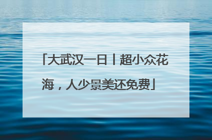 大武汉一日丨超小众花海，人少景美还免费