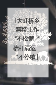 大虹桥乡：禁烧工作“不松懈“ 秸秆清运“不停歇