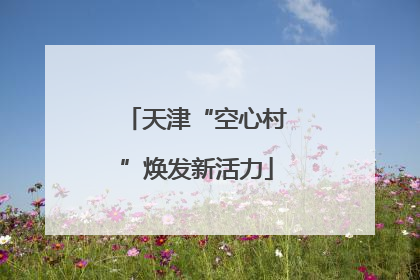 天津“空心村”焕发新活力