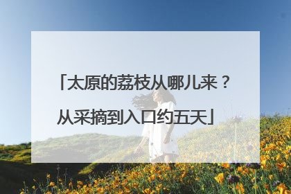 太原的荔枝从哪儿来？从采摘到入口约五天