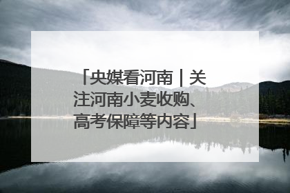 央媒看河南｜关注河南小麦收购、高考保障等内容